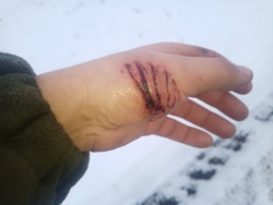 36eef173-f36a-485b-8c4f-003253f12818