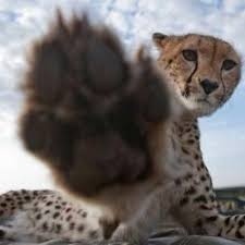 8333db16-5382-48ae-b288-82290fb491cc