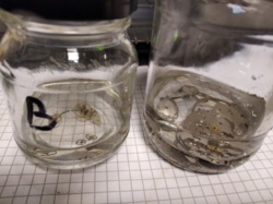 593639a2-a991-4cb1-b331-1631299fa4a2