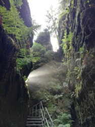 cf6975cf-0ff5-4296-b7b9-ab3be8c5dcbe