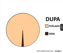 71380f57-0354-4ef2-823e-7fcbf2aa9b38