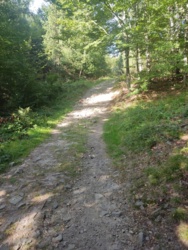 96060e4b-cea4-496a-b7d1-81fd7eebf02f