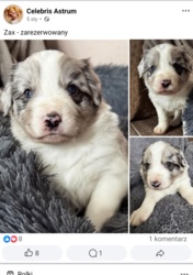 82f7c7da-0b0f-4ef7-9d10-fa766f7453ce