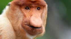 93d08fdd-bf84-4e3d-b6d1-3b8f721be01b