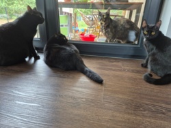 eefceff6-aa67-405b-9e86-3225e23ec896