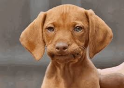 756e4e46-e488-4773-8d65-4810875be09b