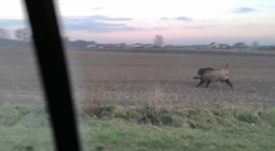 d3b02796-9a3b-4915-b206-4210b09d99b8