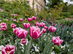 f1206899-0537-43bd-9cf9-a393de28f85e