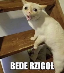 c52ac002-cee6-4f10-b970-848b0736fc4d