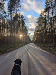 5016d13c-9cd8-4961-b1e3-7347d150ae79