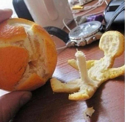 51096b27-83d9-4484-ad8b-7fe6c1e37968