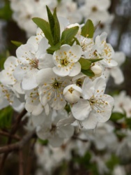 7d950fd3-7526-4c92-a6db-84b0bd9bc7ff