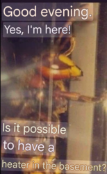 90c40a62-8dd8-4a51-b77b-4e0b38939bf9