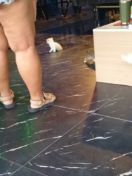 d2b04ed0-7b11-4a43-8e28-0e6e1cab058c