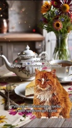 b5c5b6f5-8cbf-4ef8-a1d5-604f0a85d059