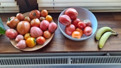 a3eee2f7-8f5c-47bc-a954-92edafd96f53