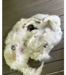 03f45264-6fc3-4960-83eb-3a46470cff08