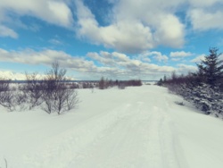 85de9b3d-a3f6-4431-9513-853c18ba7c21