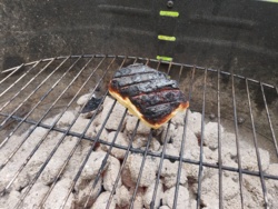 af166aca-890c-41b0-8884-5b8fb9347830