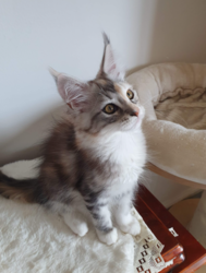 906b863c-3979-4097-b5b2-278de24cc51f