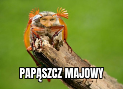 3af12f79-7b1f-4db6-83cd-972515d0aaaf