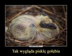 fa67e651-89f4-4180-8e9b-f73f495ea45f