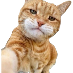 d1a8d698-fd09-496e-8836-1de561f1219c