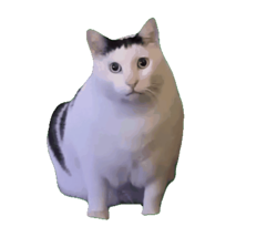 ee325a12-21cf-4e6b-bc4b-a81a79cb8372