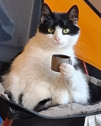 10726bb9-9329-4584-a370-e4e1871d344e