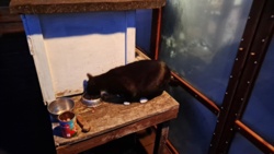 856d2712-eb0c-4e57-8b99-93bfc754886f