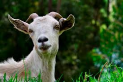 c561580f-8943-4a28-ae4c-696c63ed287c