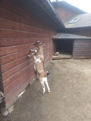 805e4952-eb50-4132-b0e1-84592623b91e