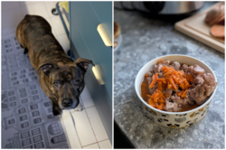 4b2a0e7b-6f2f-4ca4-a7dd-f801fcc11a82