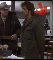 b22e7a5c-61cc-420c-9dab-bf9652d12bc2