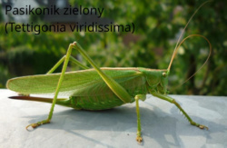 7bb55d57-906c-4f78-b6ac-cbe426306ab5