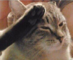 0824153a-f205-402c-b244-28969468d8f2