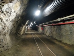 3992a0e5-80bf-409e-b4ee-b83c262dff52