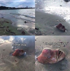 117983b8-cb7d-48fc-96a8-baa2941d4d0a