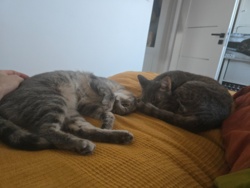 6fcf8def-b666-4494-ad09-53e4ac995481