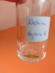 91107a6d-06b4-49bd-acf6-a66b5f38c81d