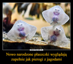 839728a7-19ce-4873-b58a-8dec16e93bae