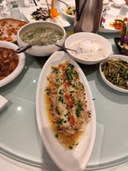 58c576fe-8ed7-4656-a566-6a6fe4305a84