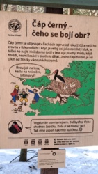 d96b07c3-4ceb-4a50-8f0e-b5707a78d7ea