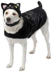 5dae8ec4-77c5-497c-9997-1cdac523186f