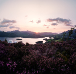 8a0de8dd-0239-4ee2-aa93-d49599c6cd74