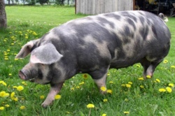 e551fffb-2037-4697-a4d6-7be0d008b6ea