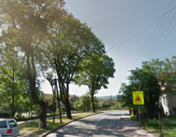 942b6703-06f7-47f9-a91c-02bfd8d09cf1