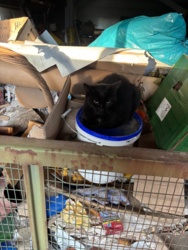 cdb5b0f4-1b02-4828-9282-dfd7348e0a90