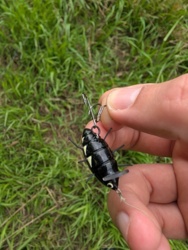 6b0818be-9485-423c-9a36-e50e622d5d34