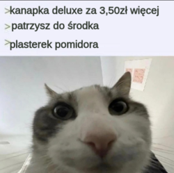 470718ff-fb93-4ae0-99dd-cf8f7790e933